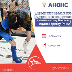Анонс. Смешанное боевое единоборство